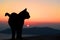 Black cat silhouette at sunset. Santorini, Cyclades islands. Greece