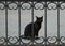 Black cat sits behind the barred gate