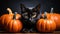 A black cat sitting in front of a group of pumpkins.