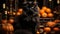 A black cat sitting in front of pumpkins