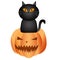 Black cat sitting pumpkin on white background