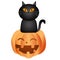 Black cat sitting pumpkin on white background