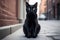 Black Cat Sitting on Sidewalk in Front of Building, Blurred Background