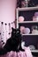A black cat sitting on top of a pink blanket. AI generative image.