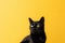 a black cat sitting on top of a table next to a yellow wall with a surprised look on it\\\'s face and a black cat\\\'s head