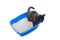 Black cat urinating in a blue litter box