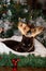 A black cat wearing reindeer antlers and sitting quietly on a white cushion.