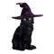 Black cat wearing witch halloween hat