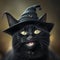 Black cat wearing witch hat. Hallowen
