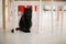 Black cat on a white background sits under the chairs