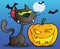 Black cat and winking halloween pumpkin