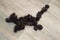 Black cat wool lying on floor. Grooming pets at home. Removal of excess hairs in the summer to improve the well-being of the