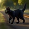 Black cat with yellow eyes crosses road, close-up. Bad omen, superstition, magic, sorcery,