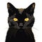 a black cat with yellow eyes and long whiskers on it\\\'s face is looking at the camera with a serious look on its face