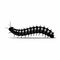 Black Caterpillar Silhouette On Clean White Background