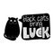 Black cats bring luck - funny quote design with grumpy black cat.