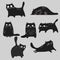 Black cats different poses and emotions set. Disappointed, angry, sleeping, relaxing, happy and cheerful cats. Pets animals collec