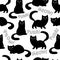 Black cats and kittens silhouettes on white background with purr and meow words. Seamless pattern