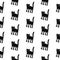 Black cats seamless pattern hand drawn on white font