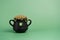 Black cauldron pot with a glitter clover and gold beads on green background