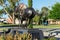 Black Caviar bronze statue on the banks of Lake Nagambie.