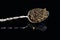 Black caviar delicate Russian beluga fish on a silver vintage spoon on a black background.