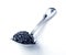 Black caviar on a spoon. with clipping path