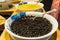 Black caviar in a spoon on the white bowl. Expensive black caviar close-up. Bowl of black tapioca pearls for bubble tea or milk te