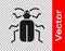 Black Chafer beetle icon isolated on transparent background. Vector