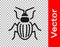 Black Chafer beetle icon isolated on transparent background. Vector