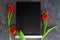 Black chalk board mockup with red tulip flowers on grey background.Blackboard menu easel,spring sales. Copy space frame