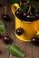 Black cherries in a yellow garden watering container