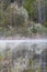 Black Cherry Blossoms Reflected On A Mist Covered Lake