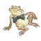 Black-chested toad (Bufo taitanus)