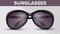 Black Circle Sunglasses, Trendy Vector 3D Shades