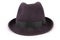 Black classic fedora hat (Clipping path)