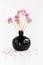 Black clay pomegranate on a white background. original vase in the form of a pomegranate. dried flowering onions with