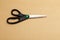 A black closed dressmaker scissors