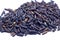 Black closeup crossbred hom jasmine nil purple raw rice riceberry thai agriculture glutinous vitamin fiber food organic macro n