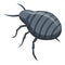 Black cockroach icon, isometric style