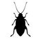 Black cockroach silhouette icon