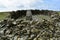 Black Combe summit shelter with trig