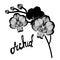 Black contour branches orchid flowers,