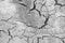 Black Cracks on White and Gray Background. Gray and White Background. Barren Earth. Dry Cracked Earth Background. Soil In Cracks.