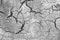Black Cracks on White and Gray Background. Gray and White Background. Barren Earth. Dry Cracked Earth Background. Soil In Cracks.