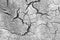 Black Cracks on White and Gray Background. Gray and White Background. Barren Earth. Dry Cracked Earth Background. Soil In Cracks.