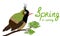 A Black-crested Coquette cartoon illustration. Bird sitting on a branch