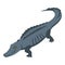 Black crocodile icon, isometric style
