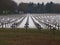 Black crosses at the German cemetery in Ysselstein in the Netherlands