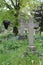 Black crow bird and old tombstones in the form of a cross